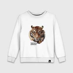 Детский свитшот Тигр 2022 символ