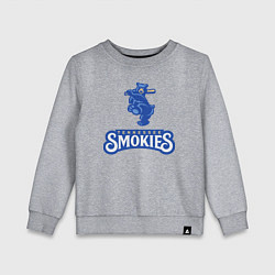 Детский свитшот Tennessee smokies - baseball team