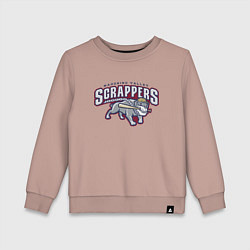 Детский свитшот Mahoning Valley Scrappers