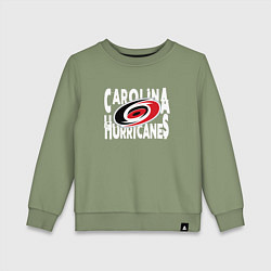 Свитшот хлопковый детский Каролина Харрикейнз, Carolina Hurricanes, цвет: авокадо