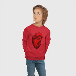 Свитшот хлопковый детский Сердце анатомическое, цвет: красный — фото 2