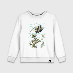Свитшот хлопковый детский Морская тематика Рыбки Морские обитатели Коралл,во, цвет: белый