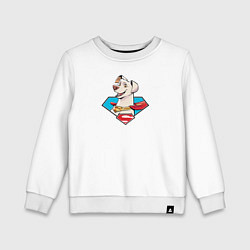 Детский свитшот Пес Супермена Крипто DC Лига Суперпитомцы
