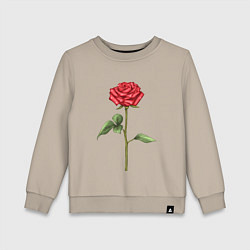 Свитшот хлопковый детский Роза красная, цвет: миндальный