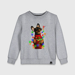 Детский свитшот Новогодняя такса