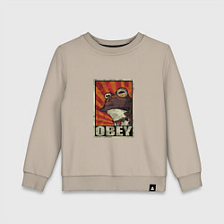 Свитшот хлопковый детский Obey frog, цвет: миндальный
