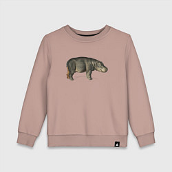 Детский свитшот Hippopotamus