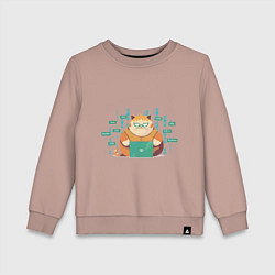 Свитшот хлопковый детский Толстенький кот программист, цвет: пыльно-розовый