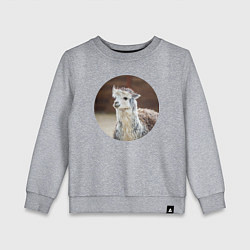 Детский свитшот Альпака