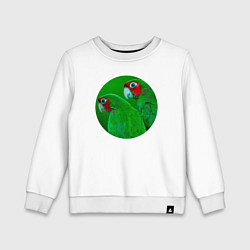 Детский свитшот Два зелёных попугая
