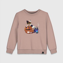 Детский свитшот Кошка с Тыквой