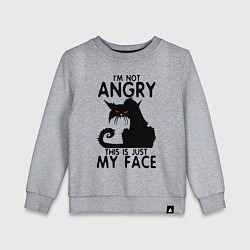 Свитшот хлопковый детский I am not angry cat, цвет: меланж
