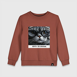 Детский свитшот Мем кот в очках: шерсть это приправа