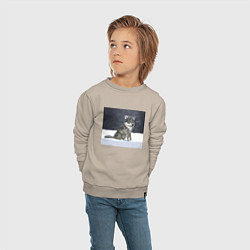 Свитшот хлопковый детский Волк ауффф мем, цвет: миндальный — фото 2