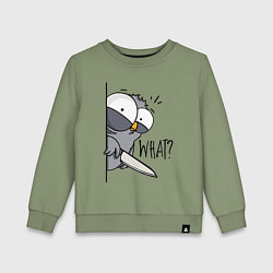 Свитшот хлопковый детский Серый филин с ножом, цвет: авокадо