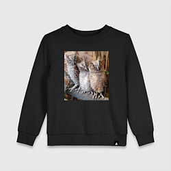 Свитшот хлопковый детский Три совы - мем, цвет: черный