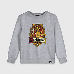 Детский свитшот Hogwarts - gryffindor logo