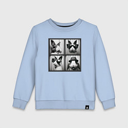 Свитшот хлопковый детский Кролик в фотобудке, цвет: мягкое небо