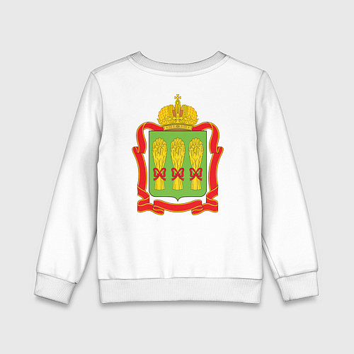 Детский свитшот Пенза / Белый – фото 2