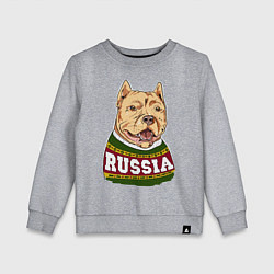 Свитшот хлопковый детский Made in Russia: собака, цвет: меланж
