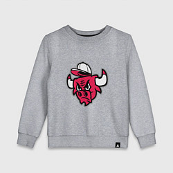 Детский свитшот Chicago Bulls (в кепке)