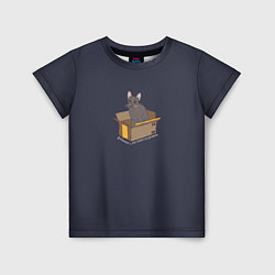 Детская футболка Кошка в коробке