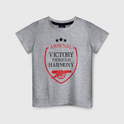 Футболка хлопковая детская Arsenal: Victory Harmony, цвет: меланж