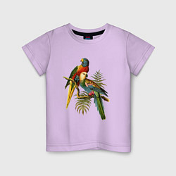 Футболка хлопковая детская Тропические попугаи, цвет: лаванда