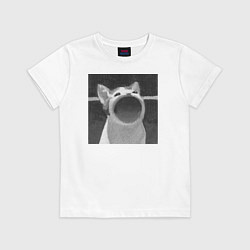 Футболка хлопковая детская ЧБ Pop Cat, цвет: белый