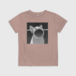 Футболка хлопковая детская ЧБ Pop Cat, цвет: пыльно-розовый