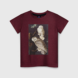 Детская футболка Snowy Owl Сова