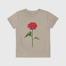 Футболка хлопковая детская Роза красная, цвет: миндальный