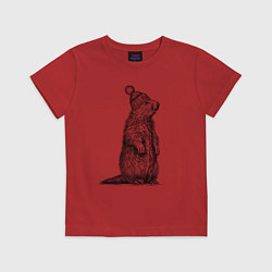 Футболка хлопковая детская Сурок в шапке, цвет: красный