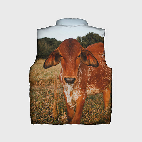 Детский жилет Коровка на поле / 3D-Черный – фото 2