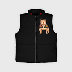 Детский жилет Yakuza dog samurai
