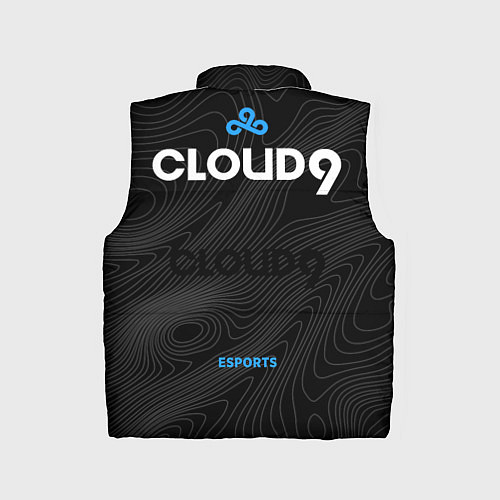 Детский жилет Cloud9 - team 2024 / 3D-Черный – фото 2