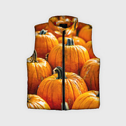 Детский жилет Много тыкв