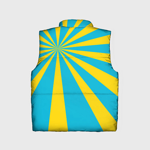 Детский жилет Воздушно-космические силы / 3D-Черный – фото 2