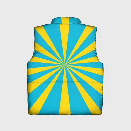 Детский жилет Военно-воздушные силы / 3D-Черный – фото 2