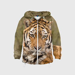 Ветровка с капюшоном детская Милый тигр, цвет: 3D-белый