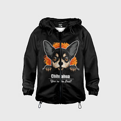 Ветровка с капюшоном детская Чихуахуа Chihuahua, цвет: 3D-черный