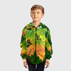 Ветровка с капюшоном детская Кленовый-лист, цвет: 3D-черный — фото 2