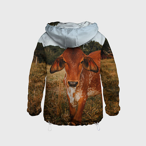 Детская ветровка Коровка на поле / 3D-Белый – фото 2