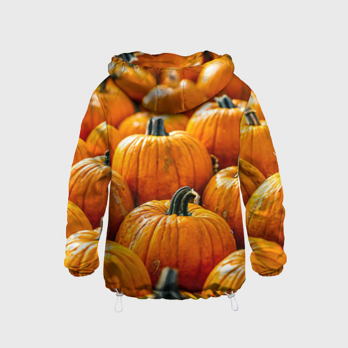 Детская ветровка Много тыкв / 3D-Белый – фото 2
