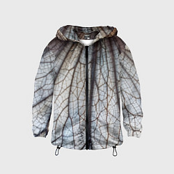 Детская ветровка Прожилки растения