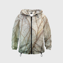 Детская ветровка Прожилки листика