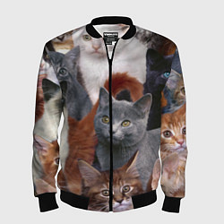 Бомбер мужской КОТЯТКИ, цвет: 3D-черный