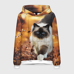 Толстовка-худи мужская Котик в листьях, цвет: 3D-белый