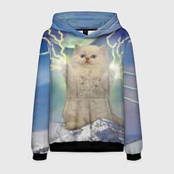 Толстовка-худи мужская Грозовой Котик, цвет: 3D-черный