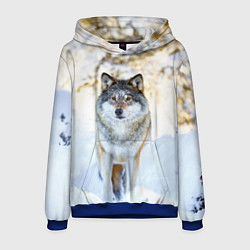 Толстовка-худи мужская Я зимой, цвет: 3D-синий